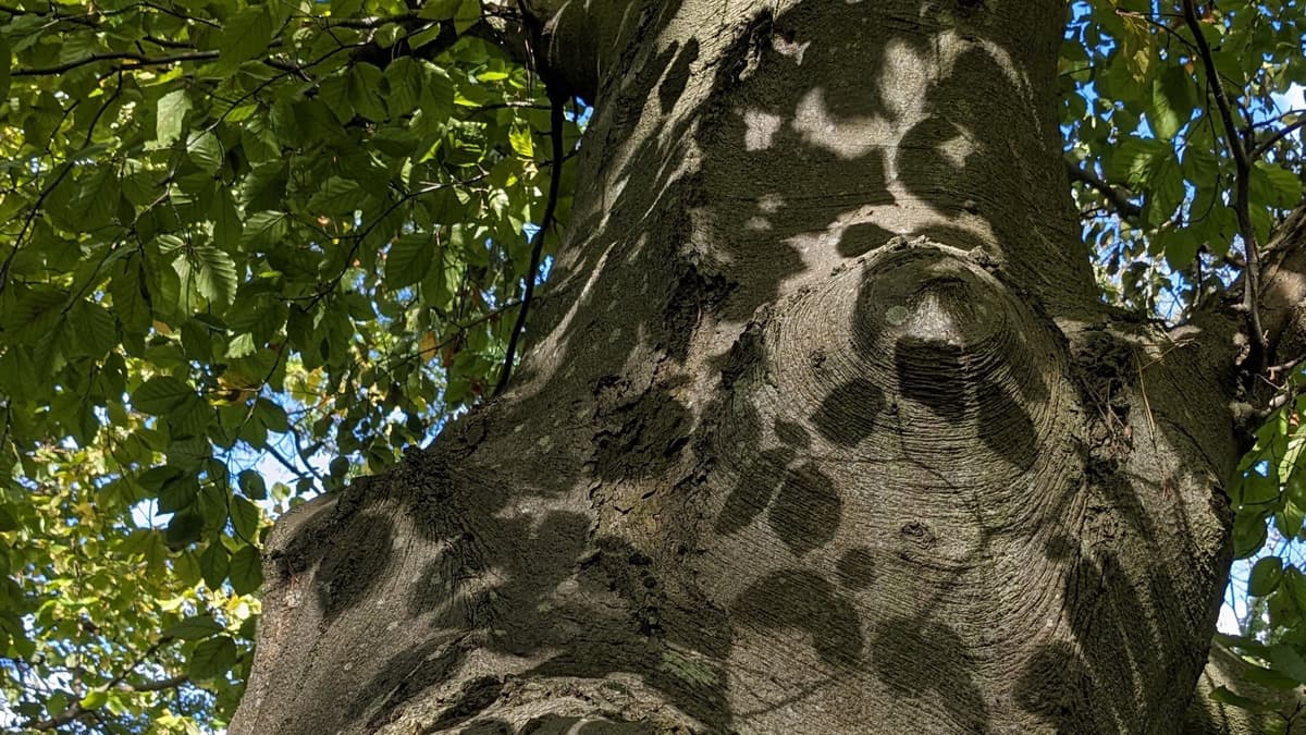 Data Pipeline to empower AI/ML use caseThe Time Machine